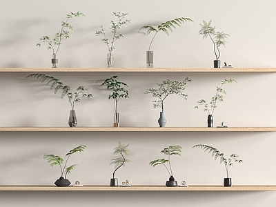 水生植物