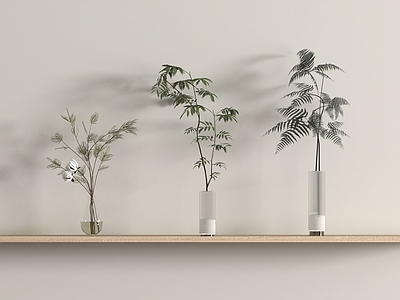 水生植物 水生植物 绿植 花瓶