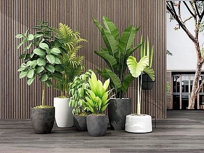 现代佛龛 绿色植物
