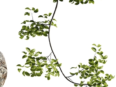 现代新中式花艺 景观植物 盆景盆栽 绿植 花艺摆件 陶罐花瓶