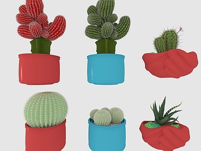 现代佛龛 仙人掌植物盆栽