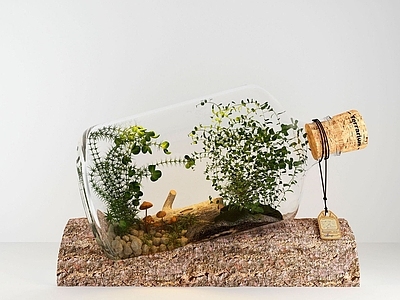 现代佛龛 现代清新玻璃瓶植物