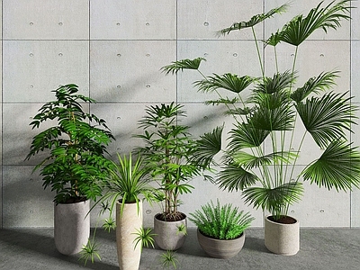 现代佛龛 植物盆栽组合