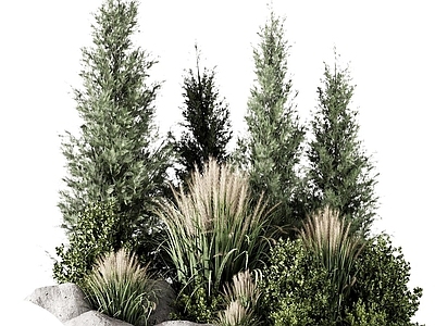 植物堆 植物堆 植物 花草 花池 花丛
