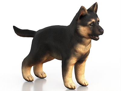 其他动物 宠物狗 德牧 小狗 幼犬