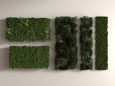 绿植墙