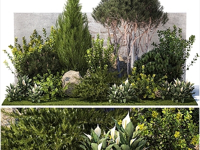 植物堆 植物堆 庭院景观