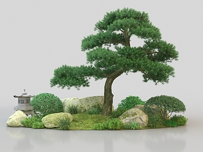 植物堆 罗汉松 入口景观 入口节点 大门入户 灌木花草