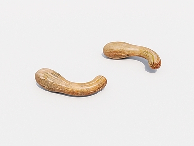 水果蔬菜 蔬菜 南瓜