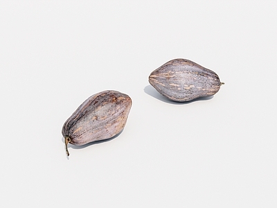 水果蔬菜 蔬菜 南瓜