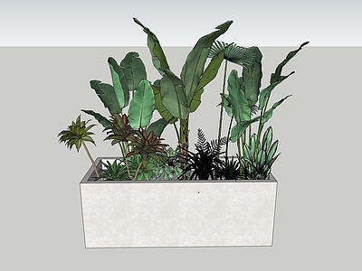 植物组合 盆栽组合 北欧风植物组合 芭蕉 庭院植物 露台植物组合