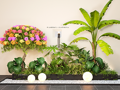 植物组合 绿植花箱 三角梅 庭院小品 景观造景