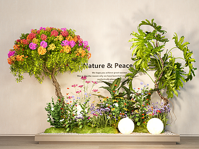 植物组合 植物组合 花箱盆景 花箱 三角梅 绿植花草组团