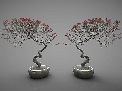现代佛龛 植物盆栽组合