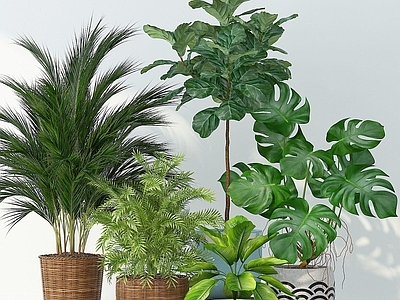 现代佛龛 花草绿植盆栽