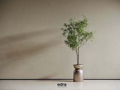 盆栽 侘寂风落地绿植 绿植盆栽