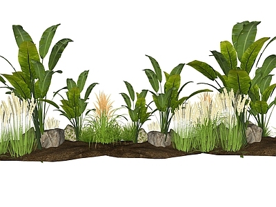 植物组合 树池植物组合 庭院植物组合 微地形植物组合