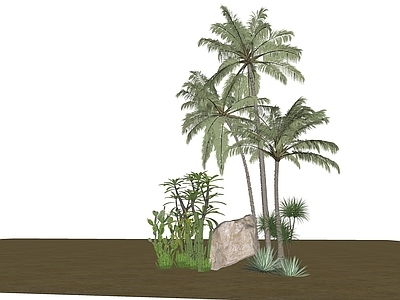 植物组合 树池植物组合 热带植物 椰子树 仙人掌组合