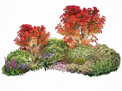花草组合 花坛花境 英式美式植物组团 三角梅 杜鹃球大叶黄杨球 植物组团花境