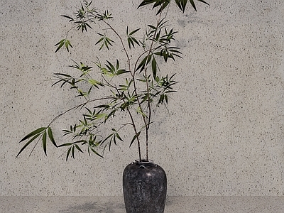 盆栽 侘寂风盆栽 复古盆栽绿植 中古禅意盆栽 侘寂绿植盆栽 新中式日式绿植