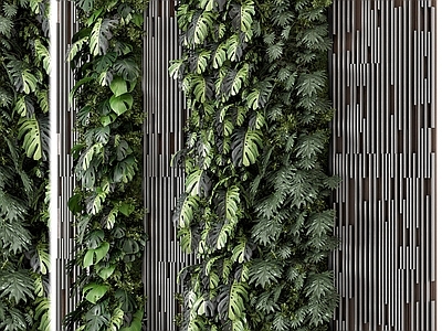 绿植墙 植物墙 绿植墙