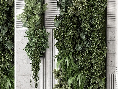 绿植墙 绿植墙 植物墙