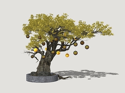 植物组合 祈福树 景观氛围树 树池植物组合