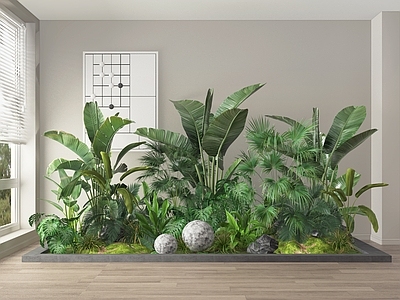 农作物 植物 绿植 植物组合 植物堆 绿植堆