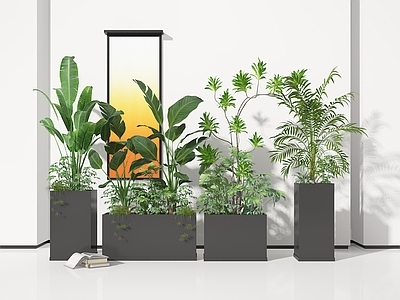 盆栽 盆栽 盆景 植物 绿植
