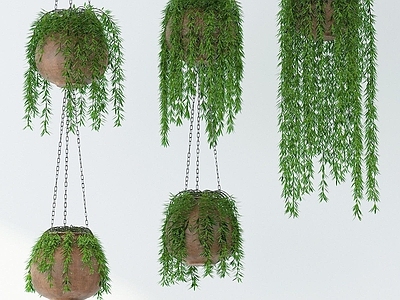 现代佛龛 现代绿植吊篮植物