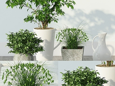 现代佛龛 现代绿植花草盆栽组合