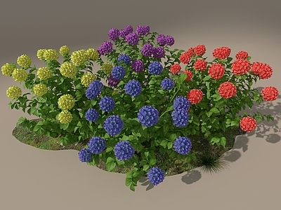 花草组合 绣球花