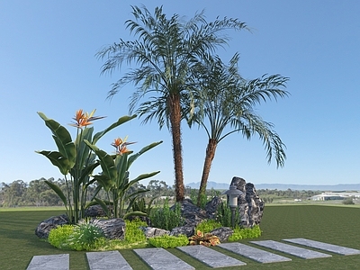 植物堆 现代景观热带植物 棕榈树 花草地被植物组合