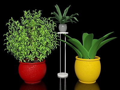 现代佛龛 现代绿植