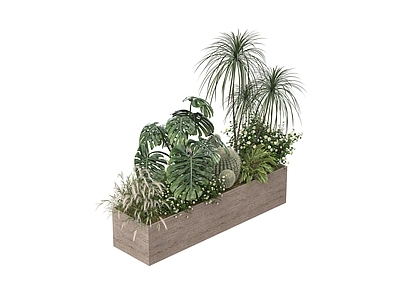 植物组合