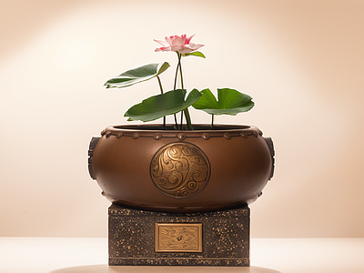中式现代水景 荷花池