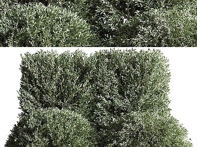 植物堆 植物堆