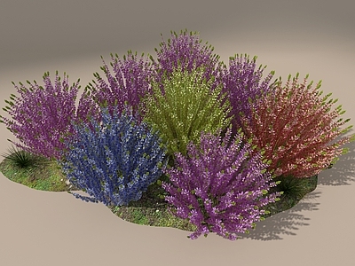 花草组合 石兰花 花草