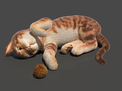 猫 狸花猫 孟加拉猫 毛绒球 小猫游戏