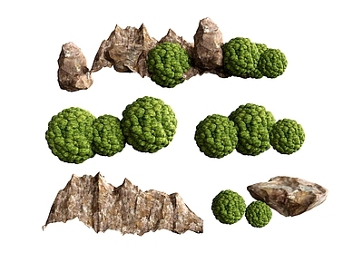 植物组合 植物绿植球形植物 假山石头