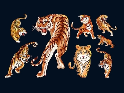 爬行类动物 老虎 猛虎 东北虎 野生老虎 白虎