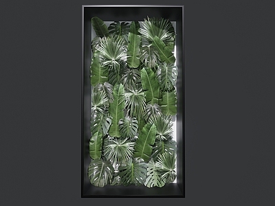 绿植墙 植物背景墙