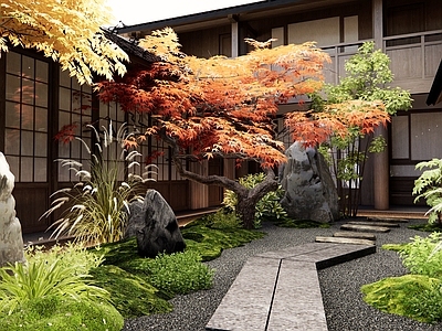 日式新中式庭院 民宿庭院 石板路 景观石头 植物景观 红枫