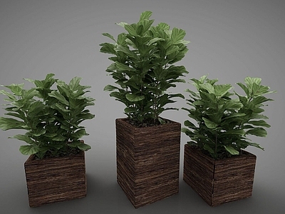 现代佛龛 装饰植物