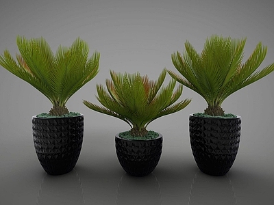 现代佛龛 装饰植物