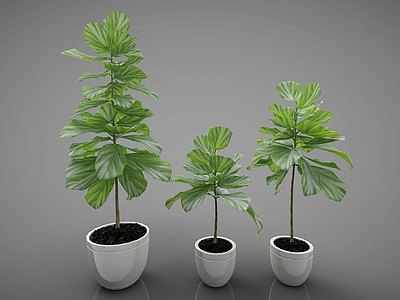 现代佛龛 装饰植物