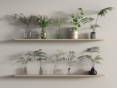 水生植物