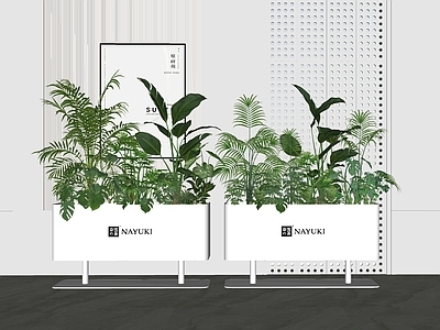 盆栽 植物 盆栽 盆景 绿植 植物组合