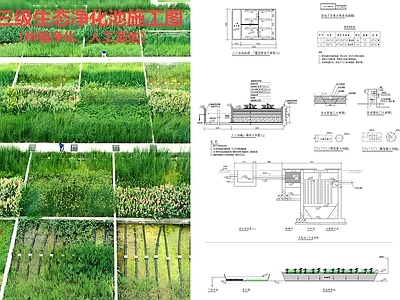 现代其他景观 生态净化池 植物净化池 人工湿地 施工图
