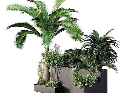 植物堆 现代 植物